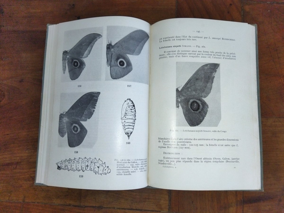 LEPIDOPTERES AFRIQUE NOIRE OCCIDENTALE Les Attacidés Fascicule IV Entomologie Papillons 1962-photo-6