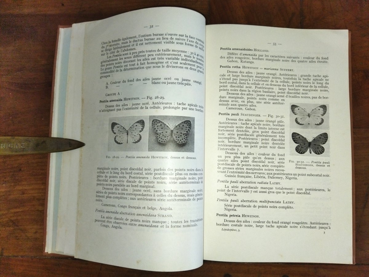 LEPIDOPTERES AFRIQUE NOIRE FRANCAISE Les Lycaenidés Fascicule III Entomologie Papillons 1957-photo-1