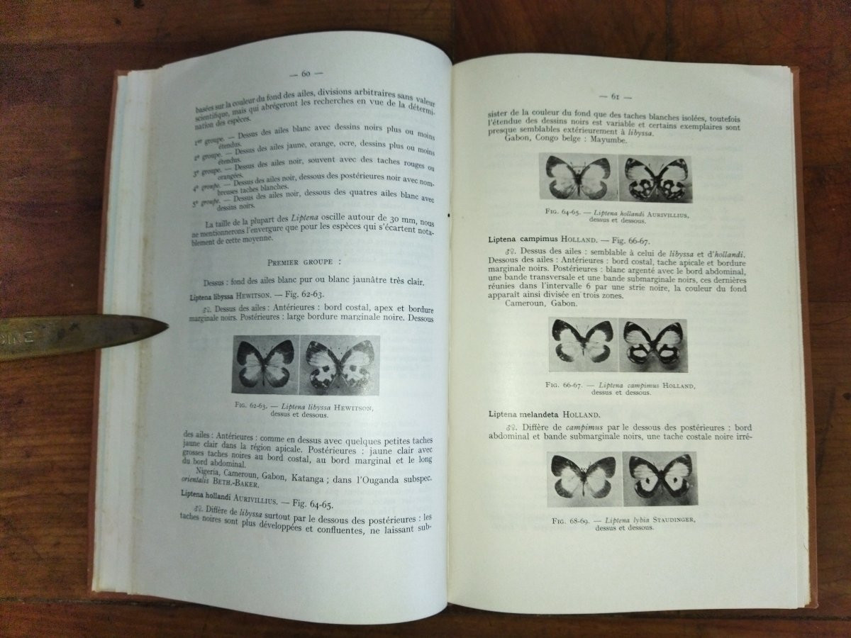 LEPIDOPTERES AFRIQUE NOIRE FRANCAISE Les Lycaenidés Fascicule III Entomologie Papillons 1957-photo-2