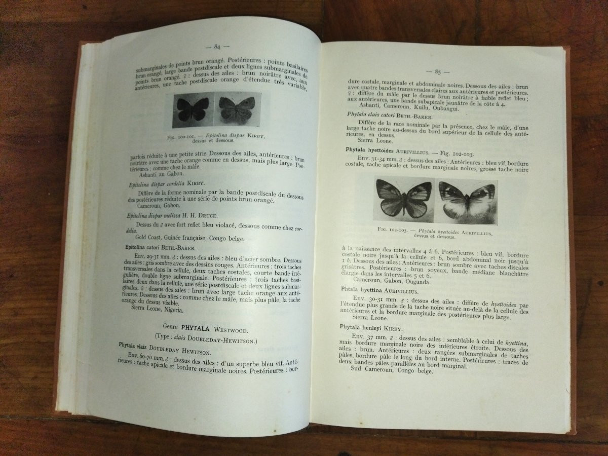 LEPIDOPTERES AFRIQUE NOIRE FRANCAISE Les Lycaenidés Fascicule III Entomologie Papillons 1957-photo-3