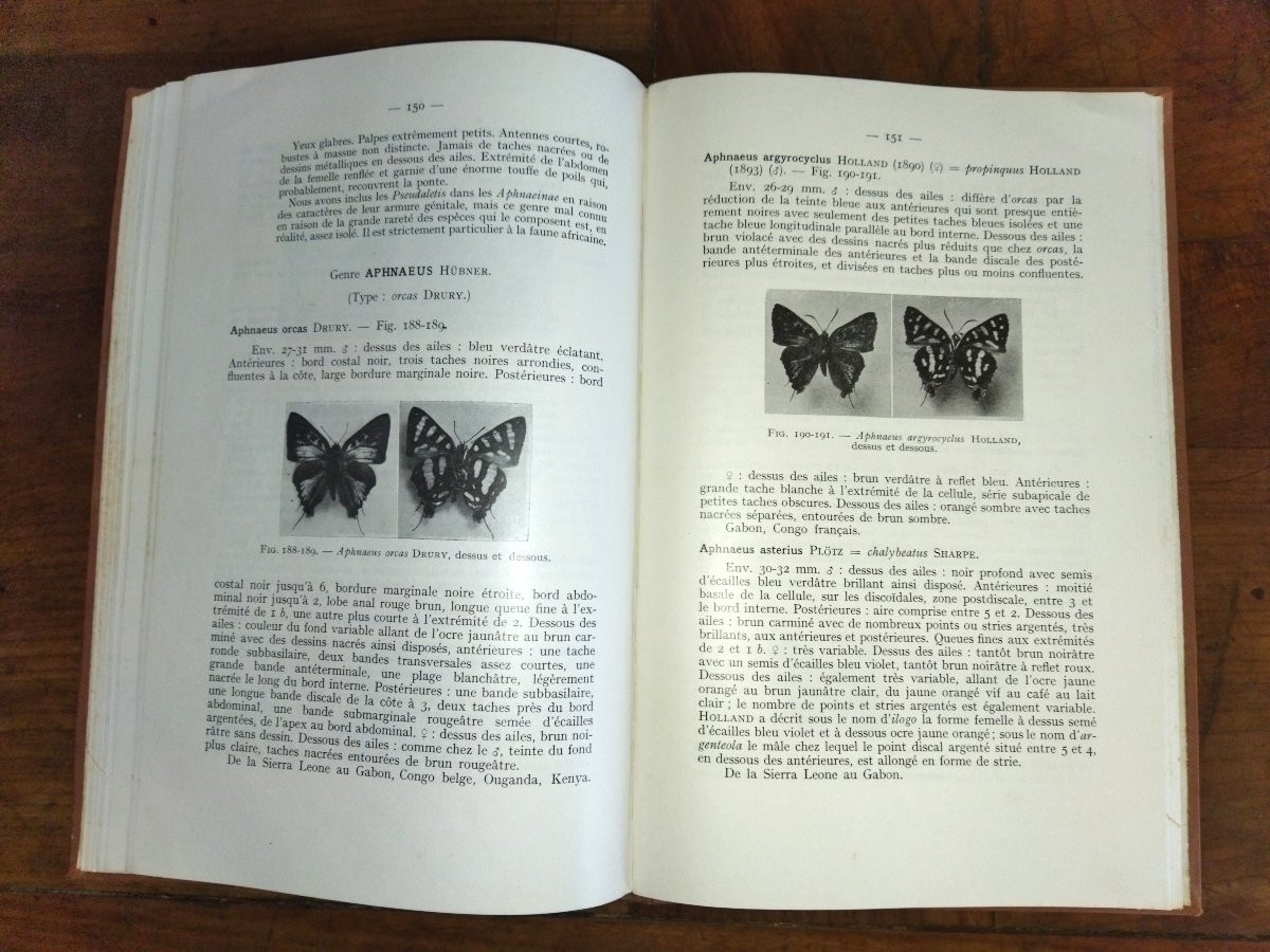 LEPIDOPTERES AFRIQUE NOIRE FRANCAISE Les Lycaenidés Fascicule III Entomologie Papillons 1957-photo-5