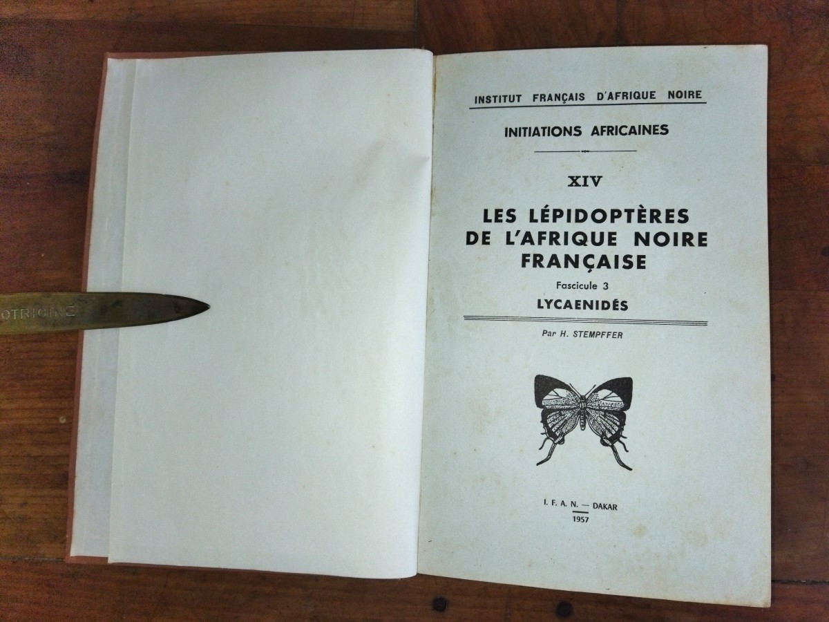 LEPIDOPTERES AFRIQUE NOIRE FRANCAISE Les Lycaenidés Fascicule III Entomologie Papillons 1957