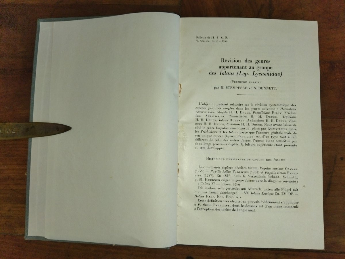 LES IOLAUS Révision des genres Entomologie Papillons -photo-3