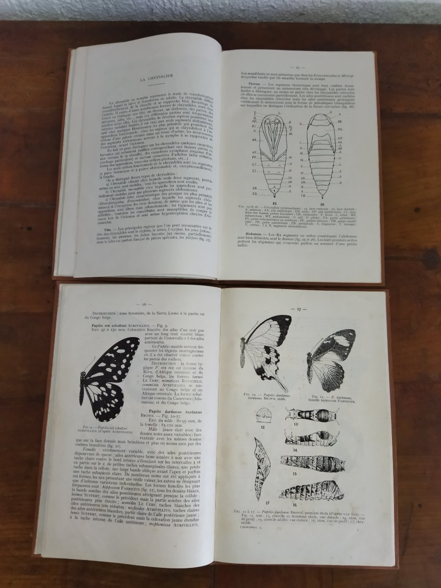 Lepidoptera French Black Africa Booklet I & II Entomology Butterflies 1957-photo-1