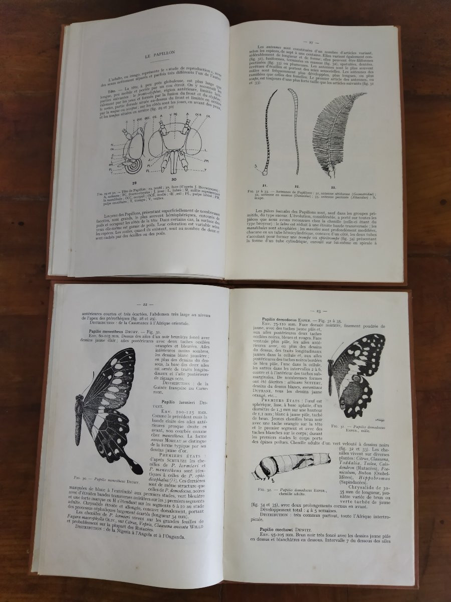 Lepidoptera French Black Africa Booklet I & II Entomology Butterflies 1957-photo-2