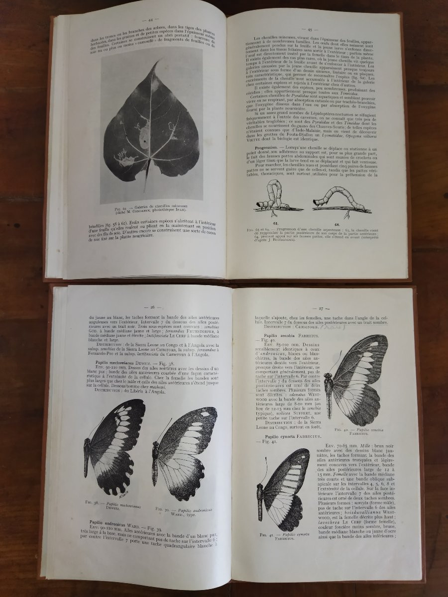 Lepidoptera French Black Africa Booklet I & II Entomology Butterflies 1957-photo-3