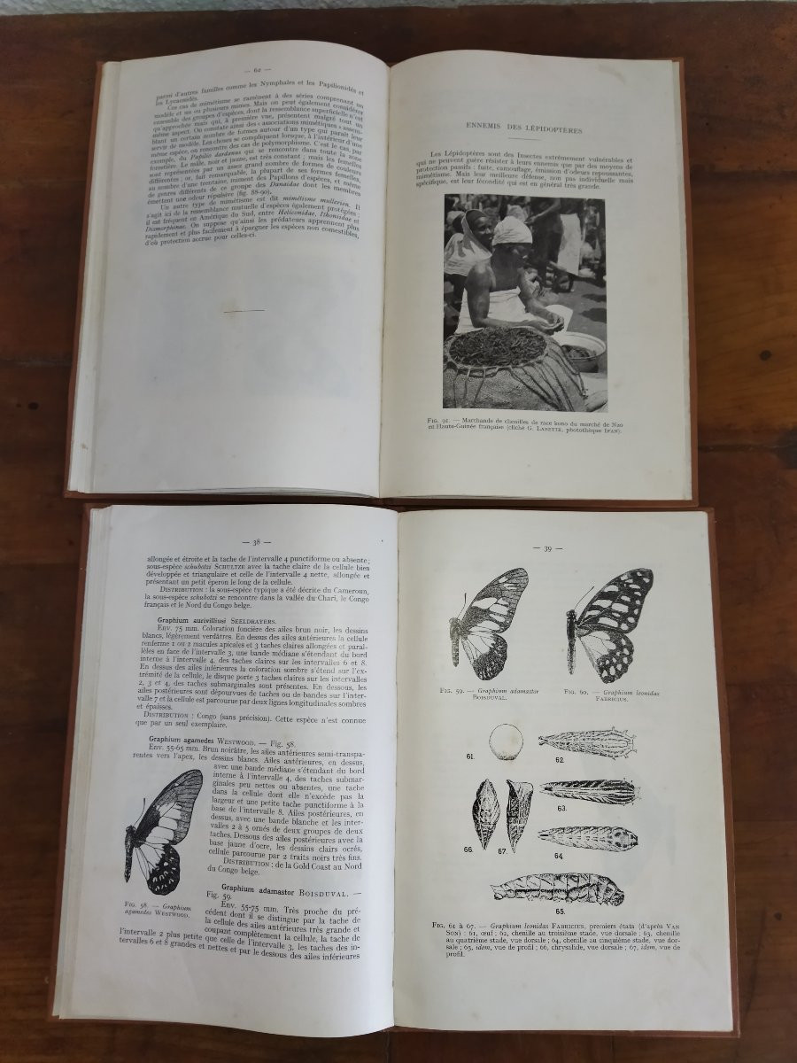Lepidoptera French Black Africa Booklet I & II Entomology Butterflies 1957-photo-5