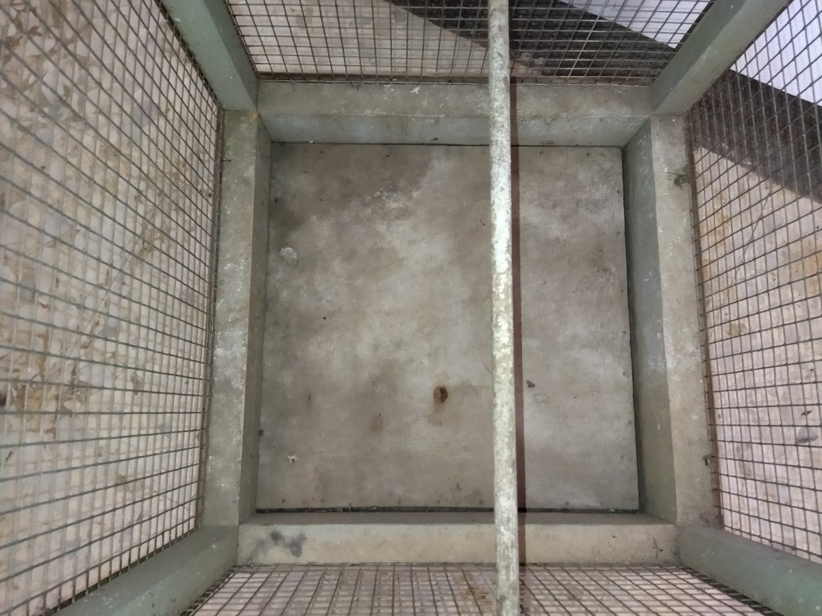 Aviary Bird Cage Wood And Metal Mesh 110cms High-photo-4