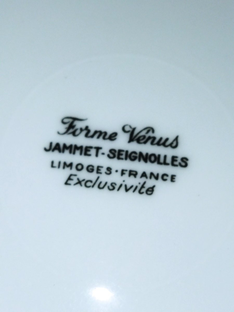 Limoges Jammet-seignolles 12 Porcelain Dessert Plates "venus" 19cms-photo-7