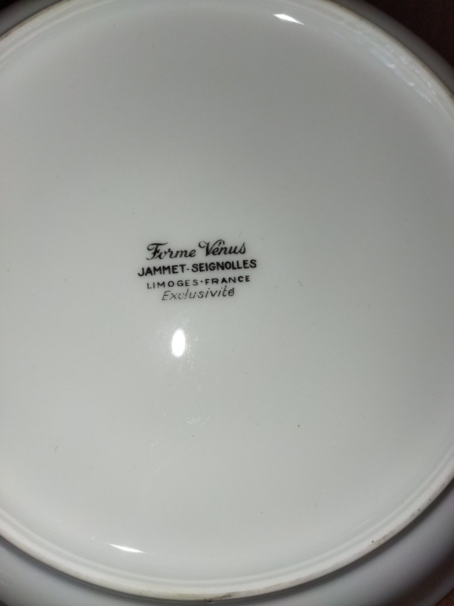 Limoges Jammet-seignolles 10 Porcelain Soup Plates "venus" 19cms-photo-7