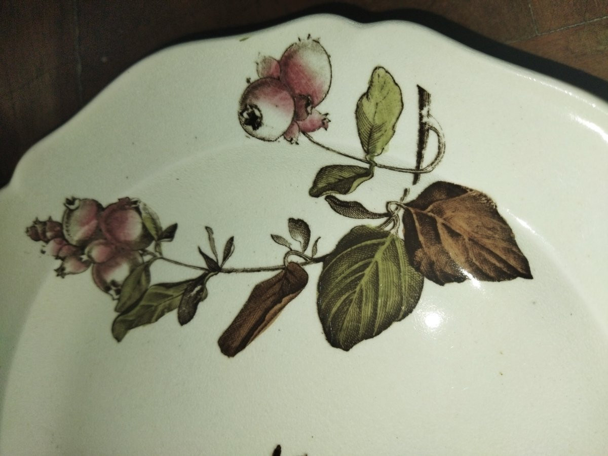 CHRYSANTEMUM PLAT ancien sur Piédouche en Faience Décor Floral Couleurs Automnales-photo-2