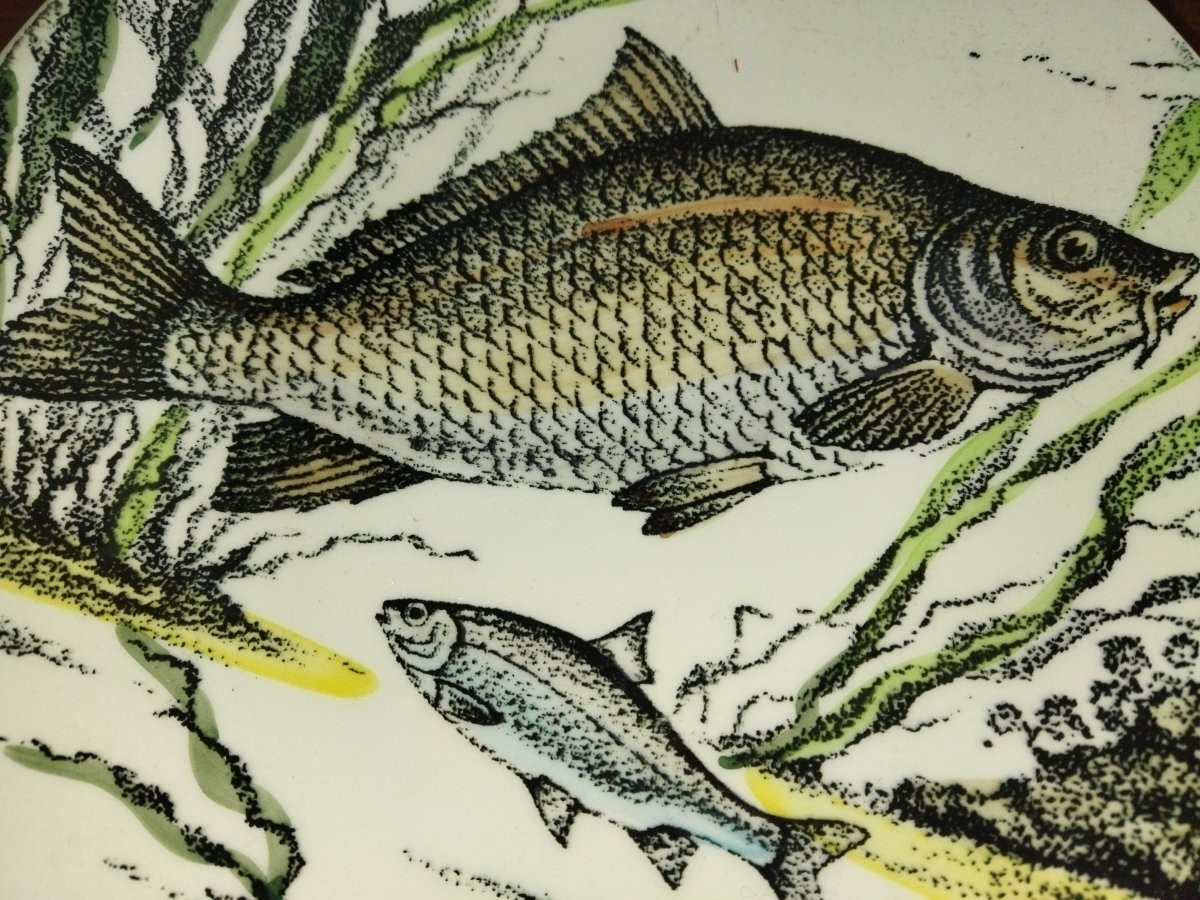 GIEN "CHAMBORD" 2 Assiettes en Faience Décor de Poissons carnassiers Brochet Carpe-photo-4
