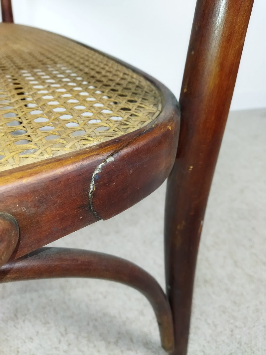 Thonet Wooden And Cane Bench With Bordeaux Fabric Backrest-photo-5