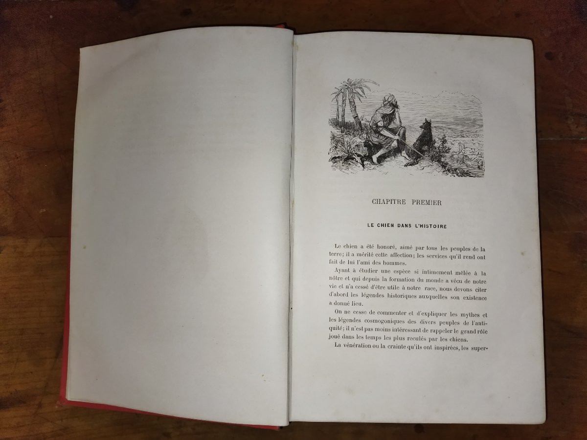 The Dog: History, Exploits, Adventures, Illustrations, Collective, Alfred Barbou, 1883-photo-2