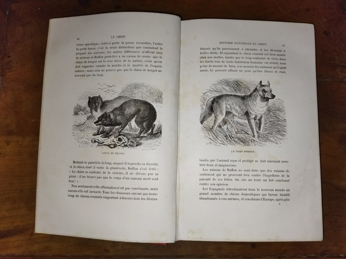 The Dog: History, Exploits, Adventures, Illustrations, Collective, Alfred Barbou, 1883-photo-3
