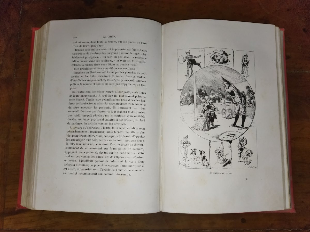 The Dog: History, Exploits, Adventures, Illustrations, Collective, Alfred Barbou, 1883-photo-8