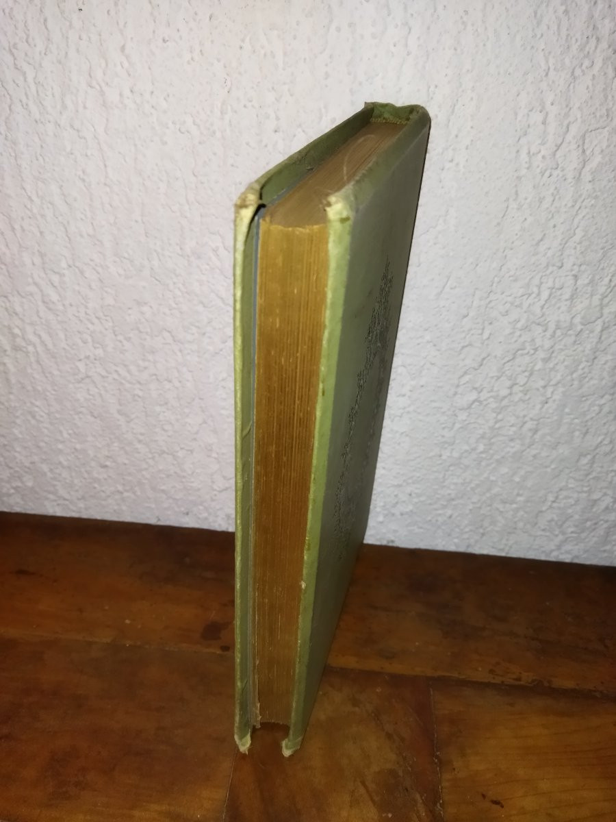 LES AÉROSTIERS MILITAIRES G. Béthuys Illustrations Gil BAER Paris 1889 Collection-photo-4