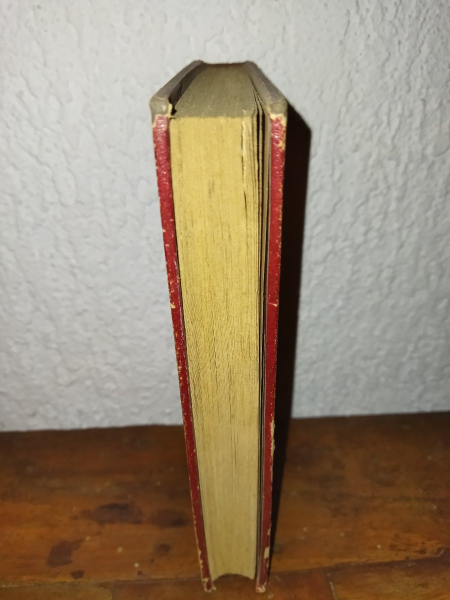 SOUVENIRS D'UN OISEAU D'EUROPE EN AFRIQUE Hirondelle Pérégrination Faune  A. DUBOIS -photo-3