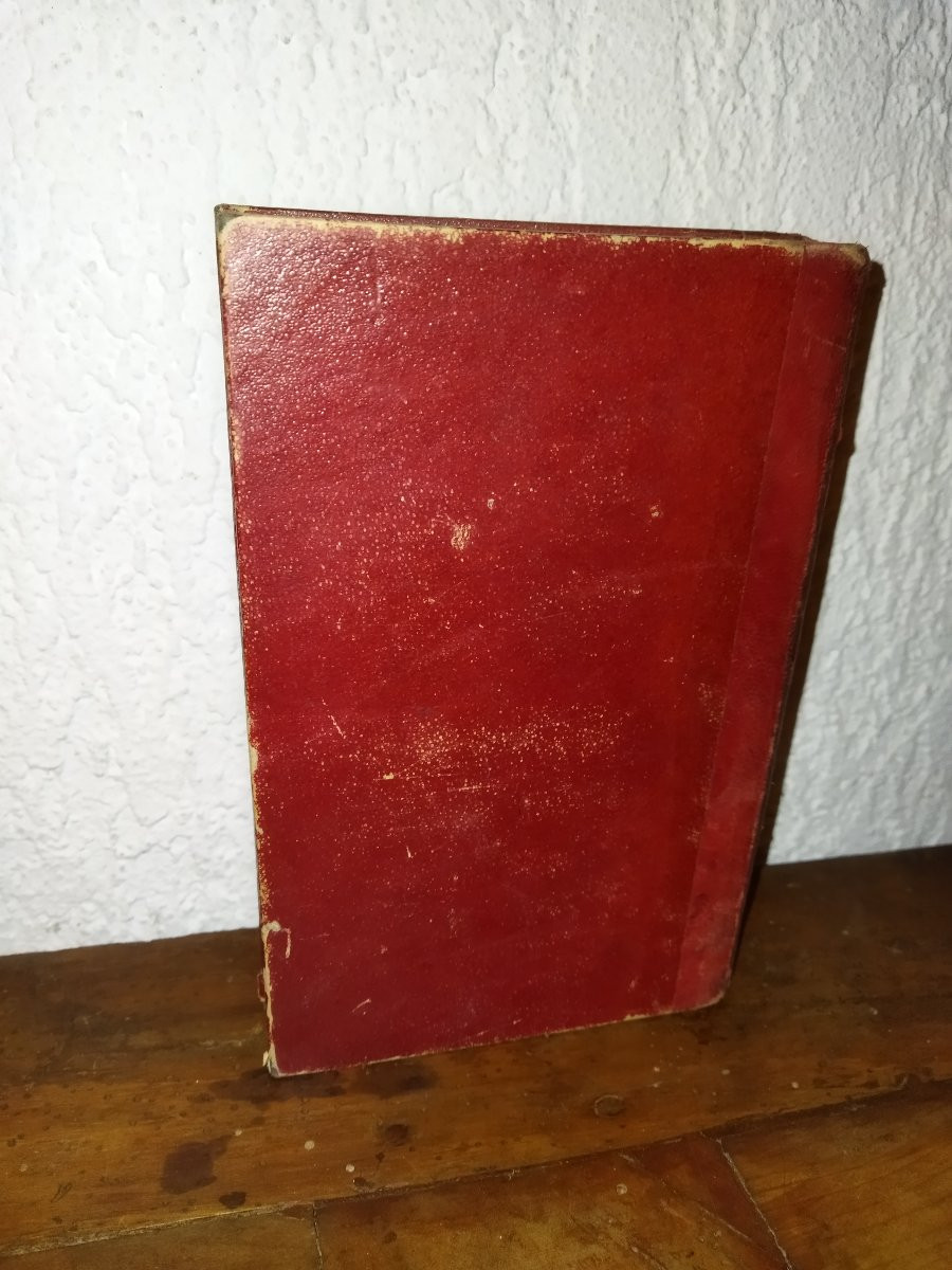 SOUVENIRS D'UN OISEAU D'EUROPE EN AFRIQUE Hirondelle Pérégrination Faune  A. DUBOIS -photo-4