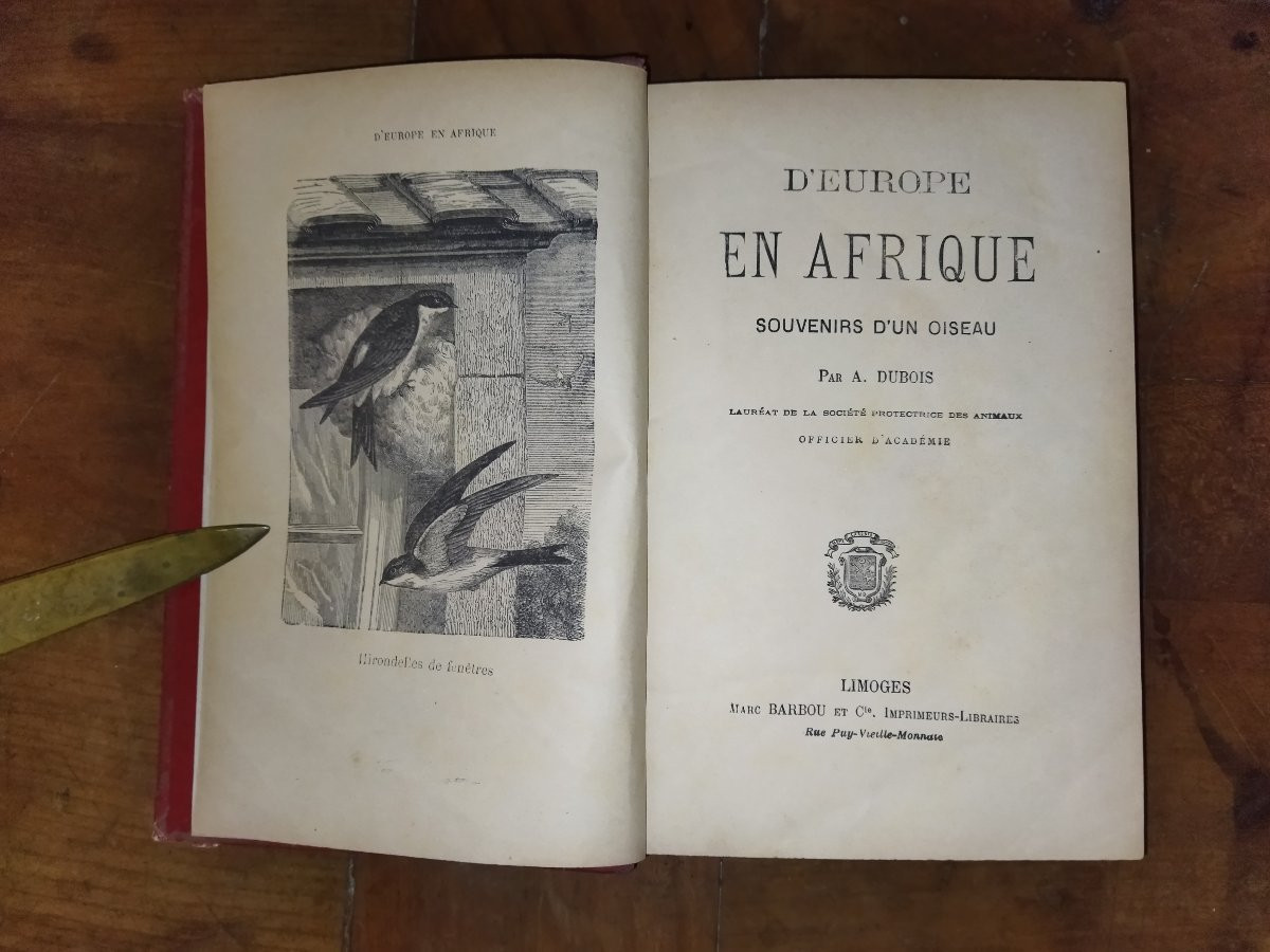 SOUVENIRS D'UN OISEAU D'EUROPE EN AFRIQUE Hirondelle Pérégrination Faune  A. DUBOIS -photo-1