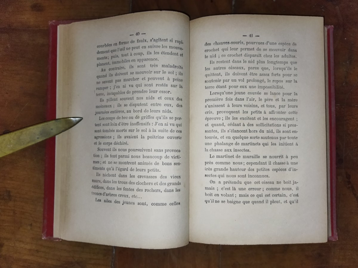SOUVENIRS D'UN OISEAU D'EUROPE EN AFRIQUE Hirondelle Pérégrination Faune  A. DUBOIS -photo-2