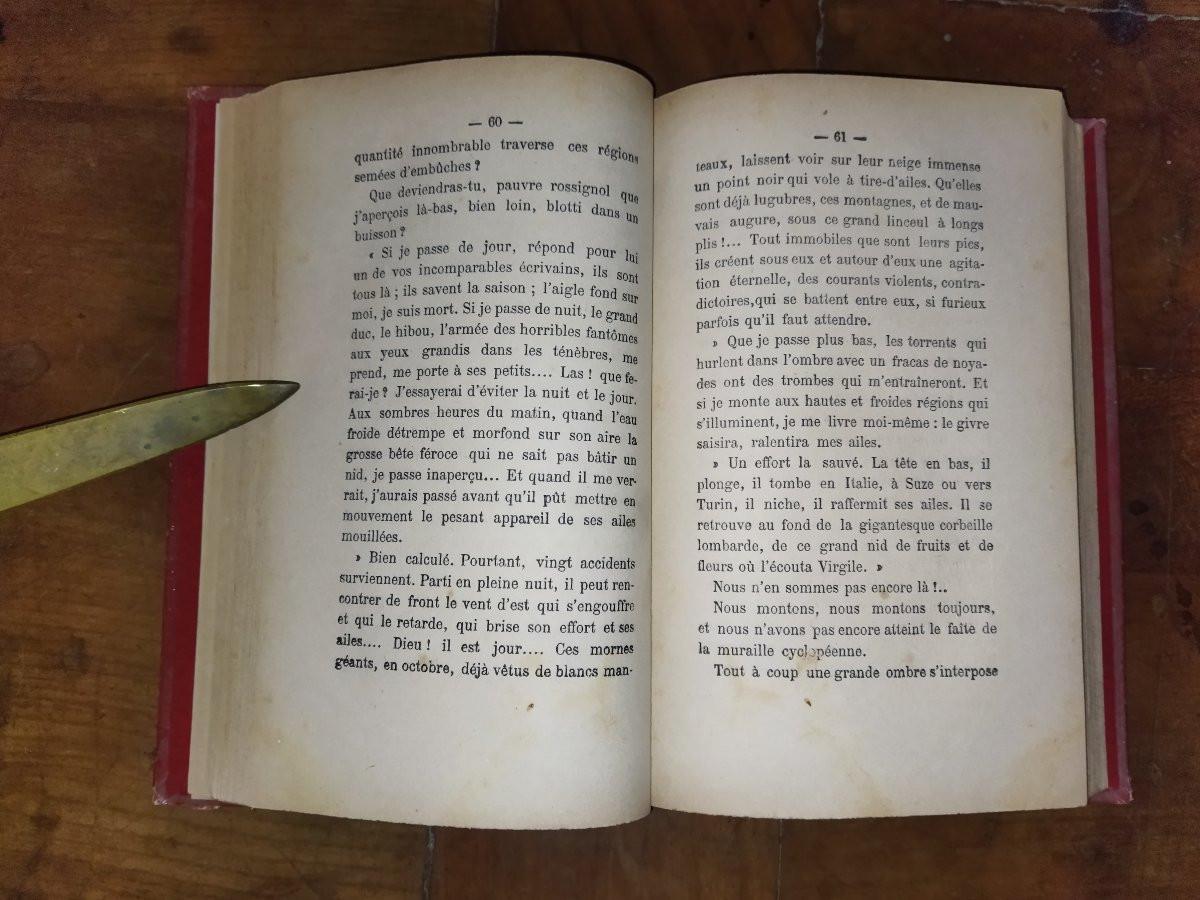 SOUVENIRS D'UN OISEAU D'EUROPE EN AFRIQUE Hirondelle Pérégrination Faune  A. DUBOIS -photo-3