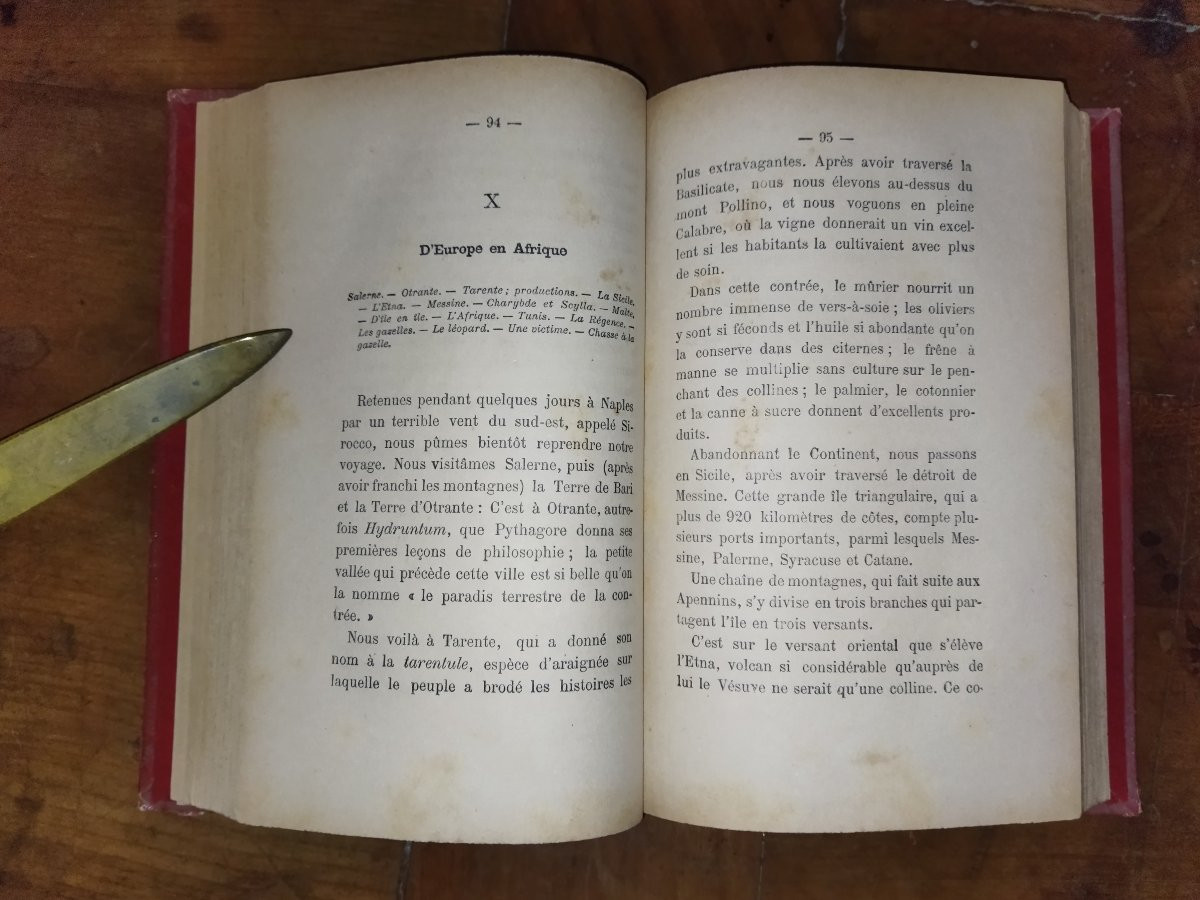 SOUVENIRS D'UN OISEAU D'EUROPE EN AFRIQUE Hirondelle Pérégrination Faune  A. DUBOIS -photo-4