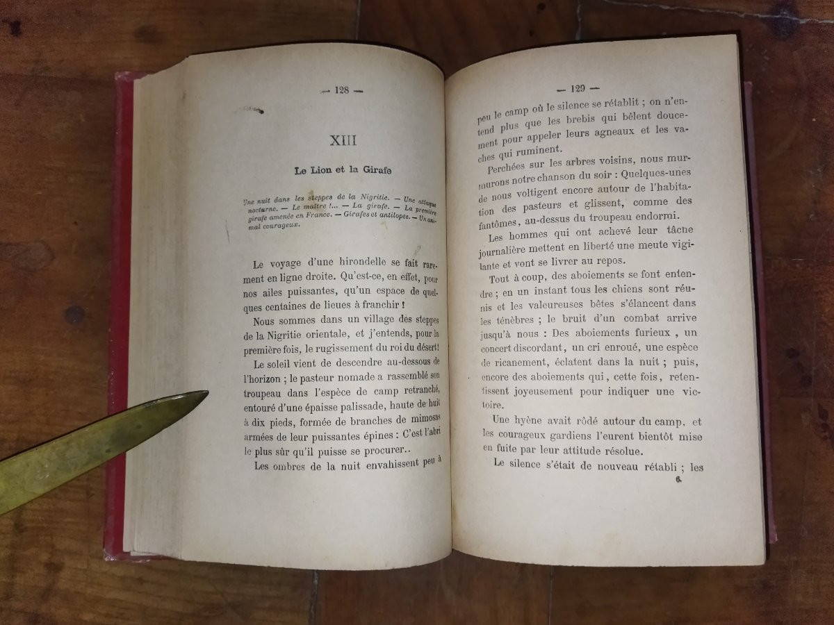 SOUVENIRS D'UN OISEAU D'EUROPE EN AFRIQUE Hirondelle Pérégrination Faune  A. DUBOIS -photo-5