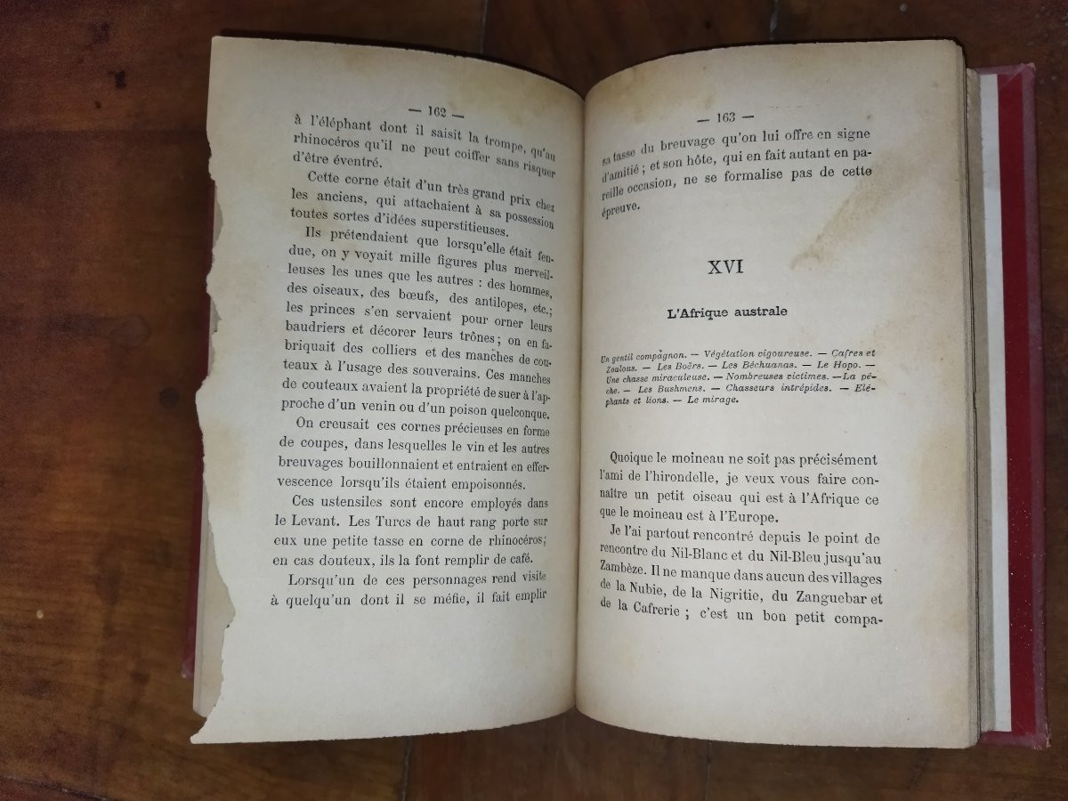 SOUVENIRS D'UN OISEAU D'EUROPE EN AFRIQUE Hirondelle Pérégrination Faune  A. DUBOIS -photo-6