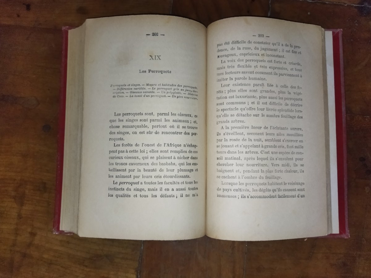 SOUVENIRS D'UN OISEAU D'EUROPE EN AFRIQUE Hirondelle Pérégrination Faune  A. DUBOIS -photo-7
