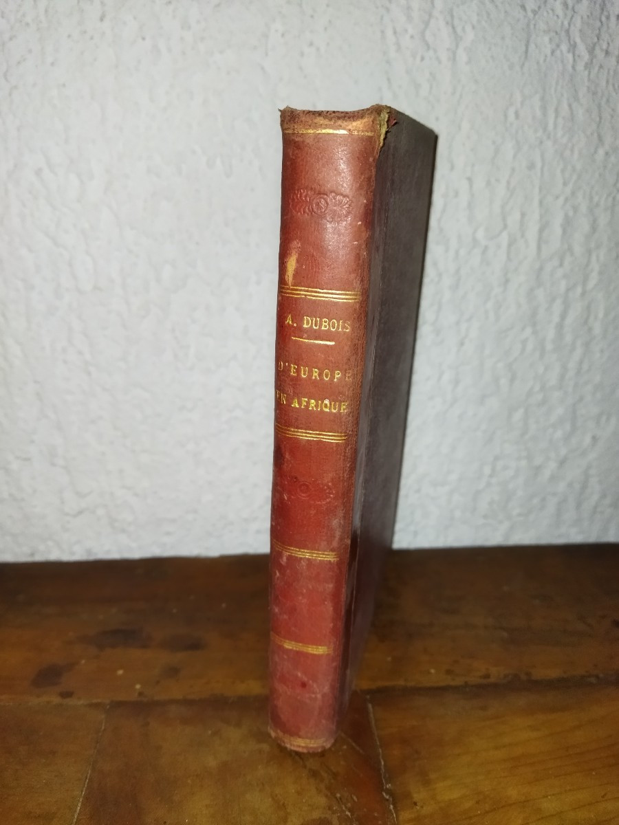 SOUVENIRS D'UN OISEAU D'EUROPE EN AFRIQUE Hirondelle Pérégrination Faune  A. DUBOIS 