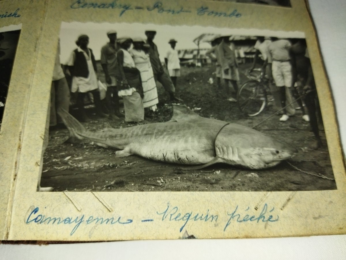 MILITARIA SGM Soldat RAC Nîmes Carnet de Route Afrique Guinée Photos Ethnologie -photo-6
