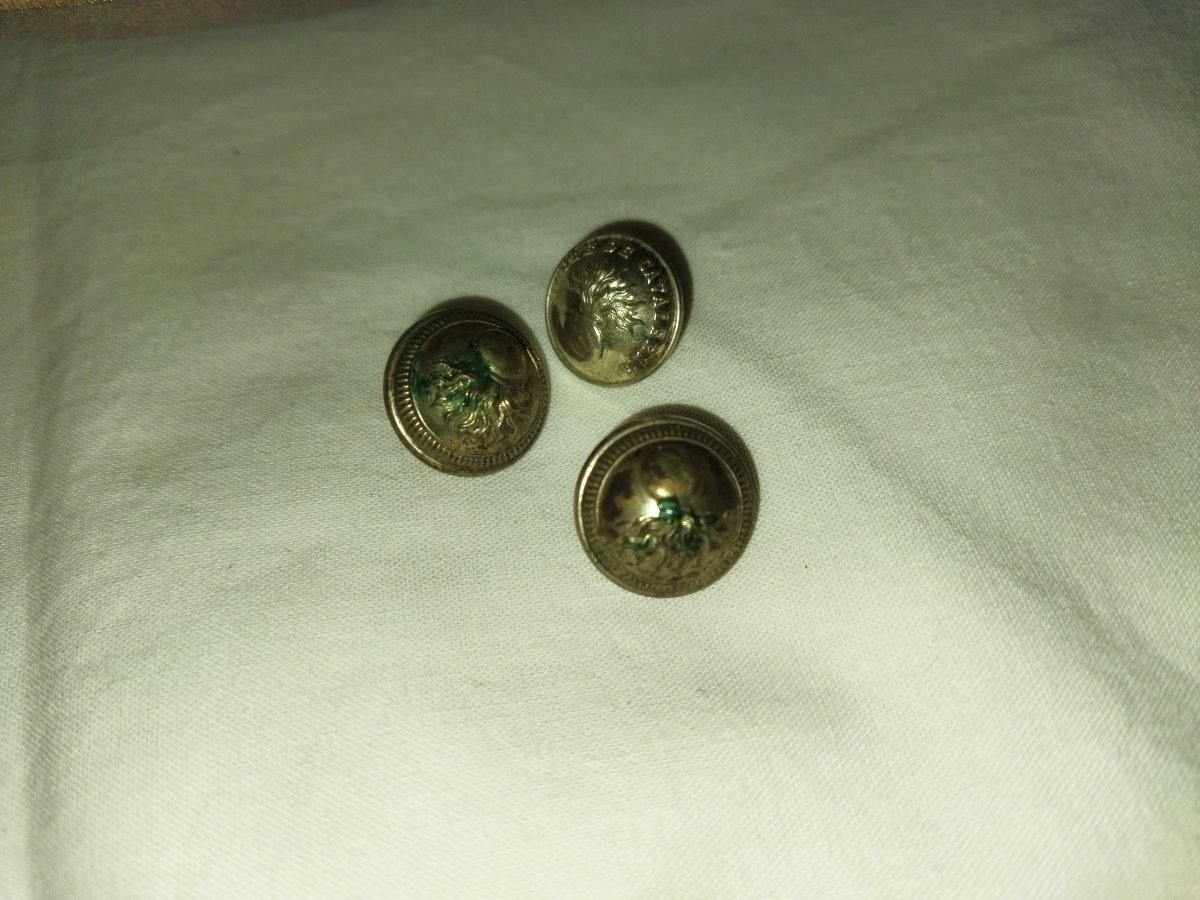 Militaria Antique Epaulettes Military Aiguillettes Gold Thread 19th Century Collection-photo-4