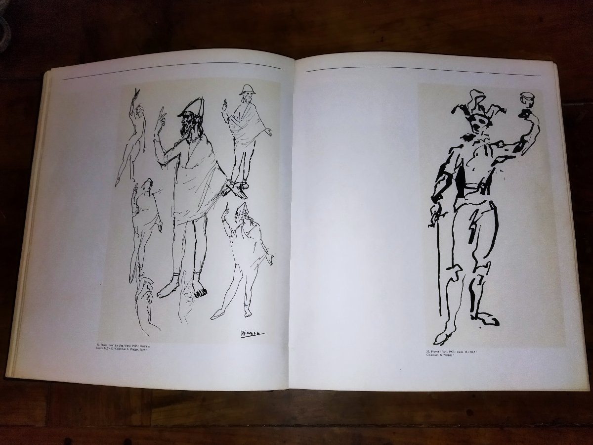Picasso And The Theatre French Book Club Douglas Cooper 1967 No. 3581 Collection-photo-4