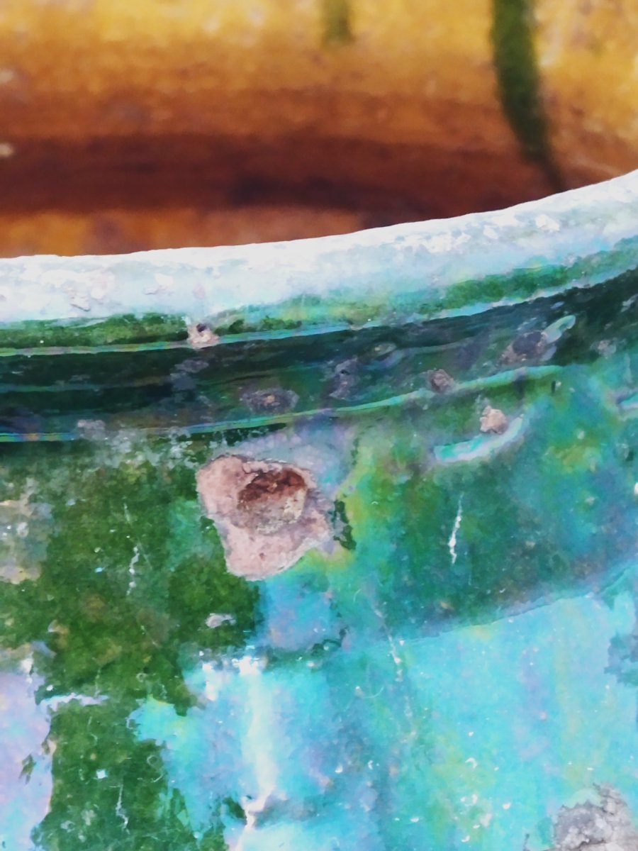 POTERIE Terre cuite Vernissée Verte Sud-Ouest Pot à Graisse/Confit Art populaire COLLECTION-photo-3