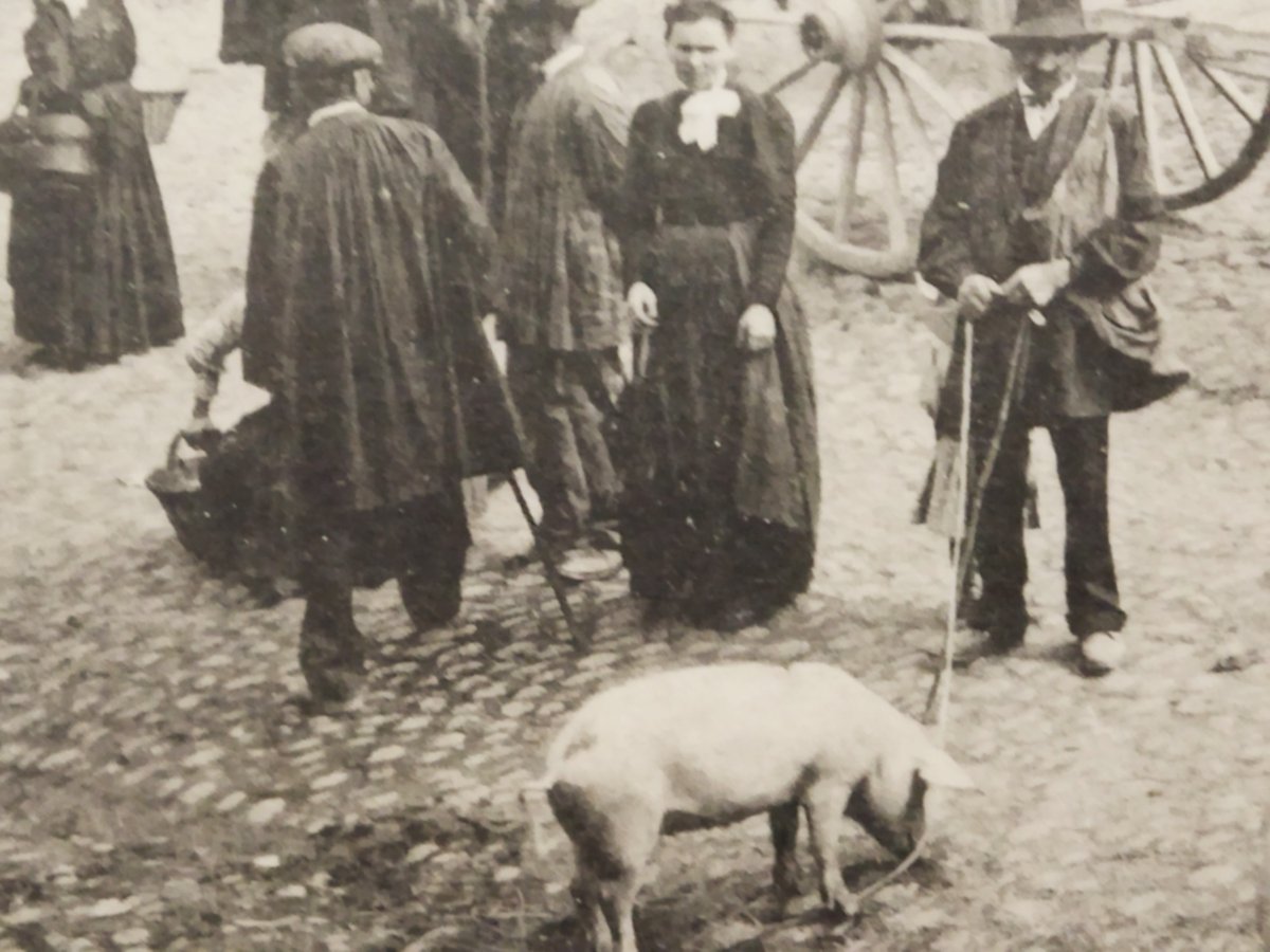 Vintage Animated Postcard "the Pig Market" Ariège, Occitanie Collection-photo-1