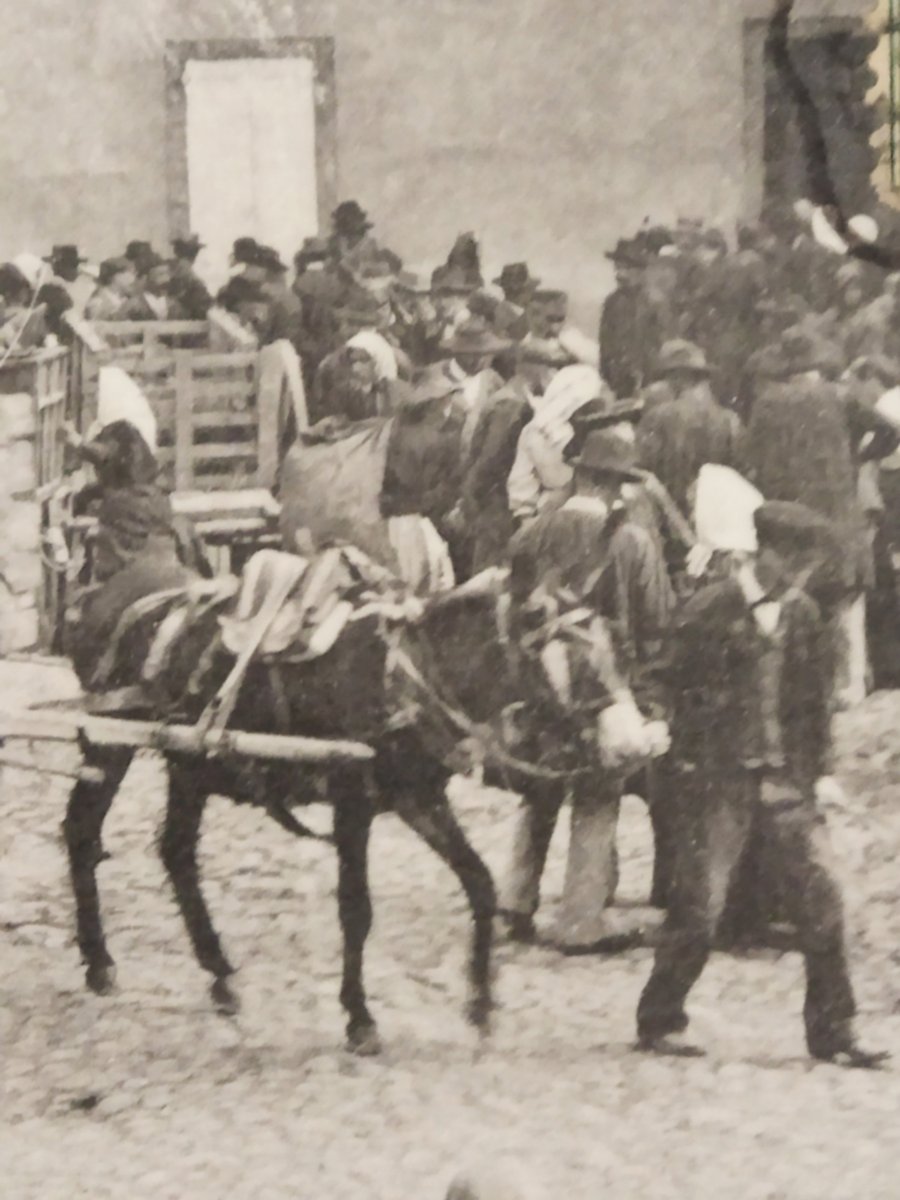 Vintage Animated Postcard "the Pig Market" Ariège, Occitanie Collection-photo-2