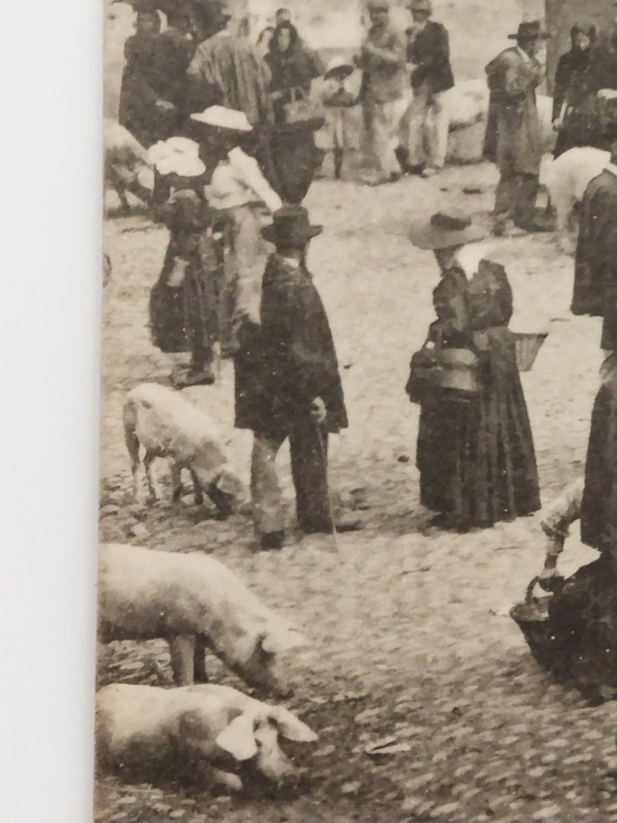 Vintage Animated Postcard "the Pig Market" Ariège, Occitanie Collection-photo-3