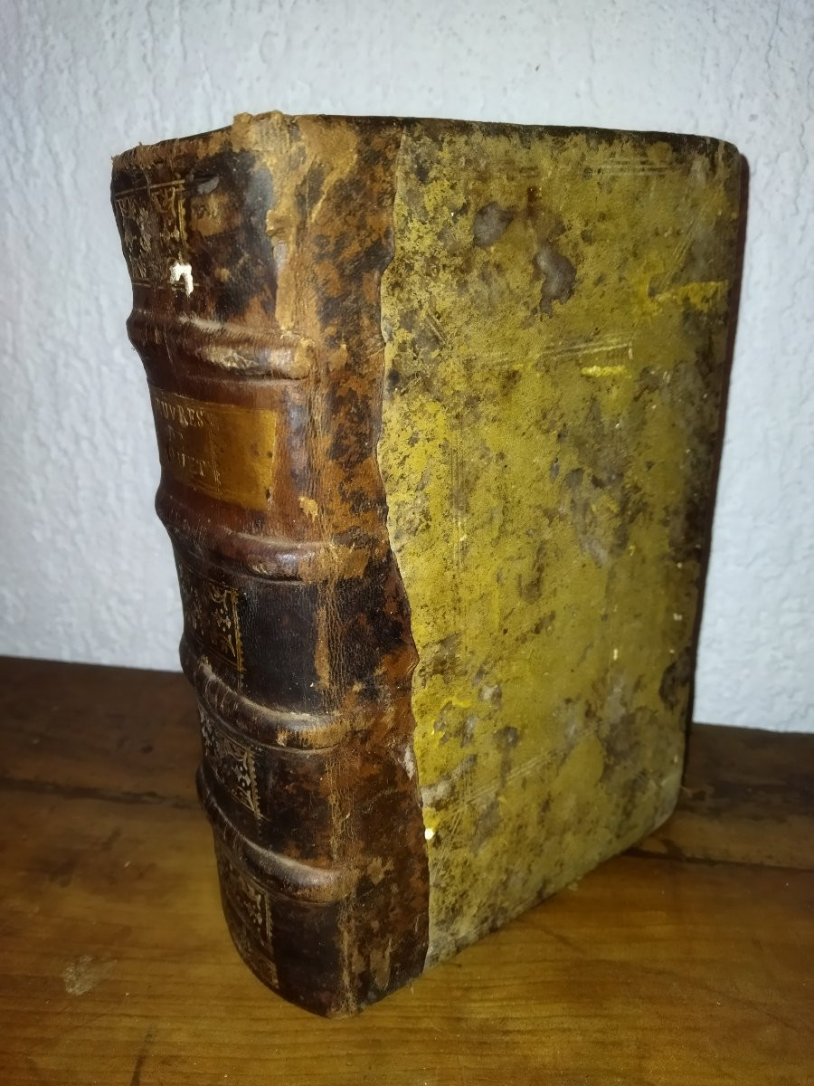 Jean Bacquet Old Book From The 17th Century, Legislation And Law, Geneva, 1625-photo-2