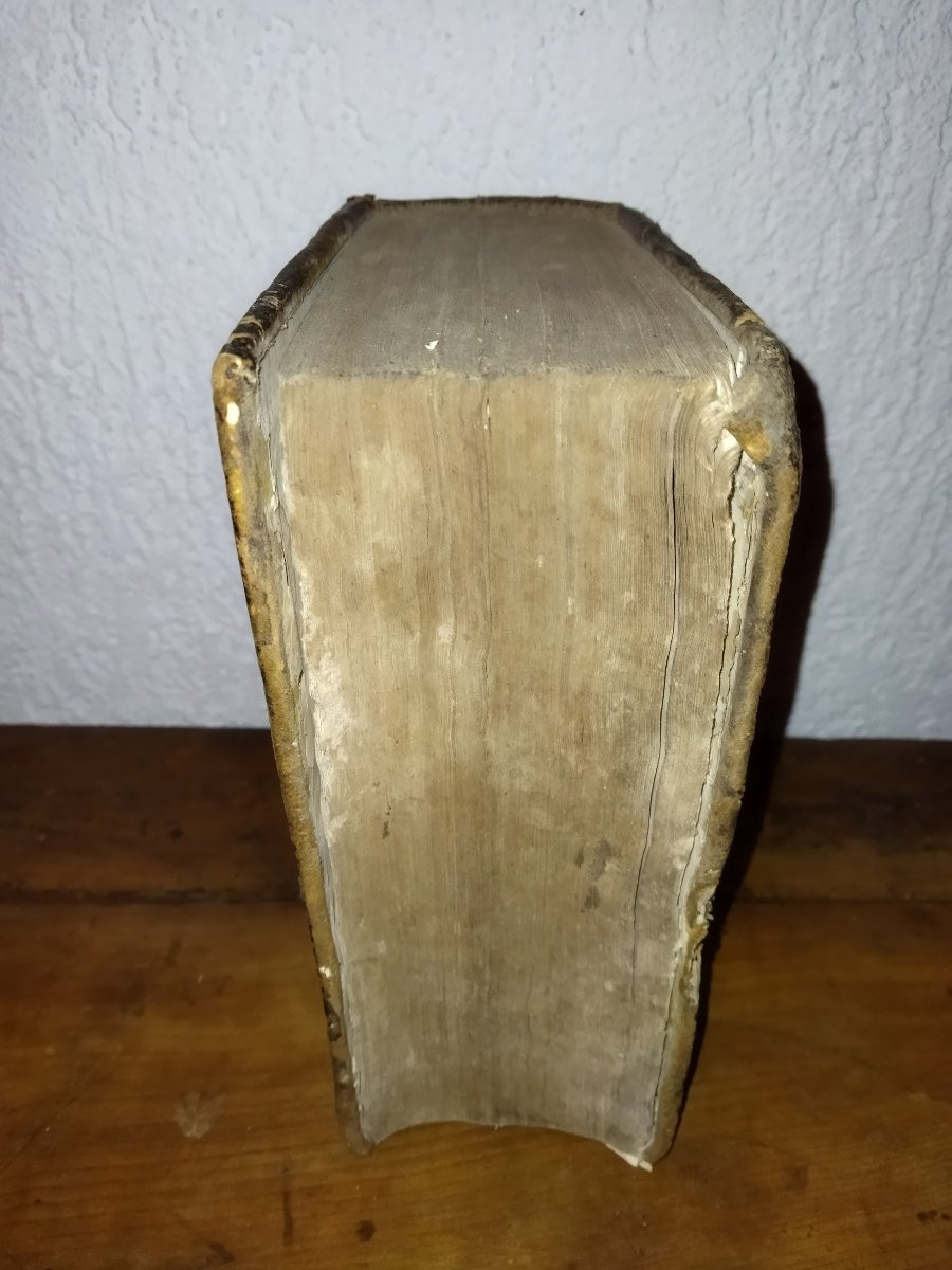 Jean Bacquet Old Book From The 17th Century, Legislation And Law, Geneva, 1625-photo-3