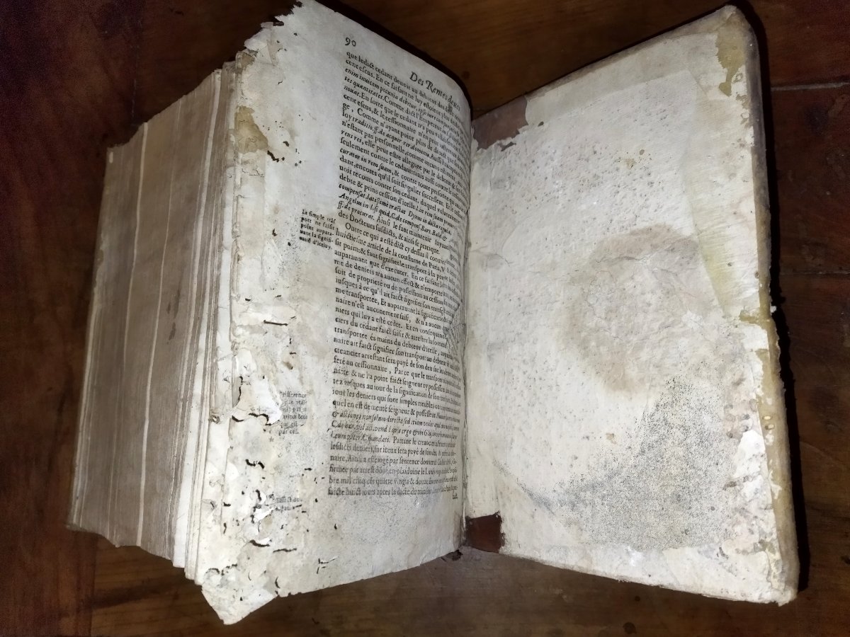 Jean Bacquet Old Book From The 17th Century, Legislation And Law, Geneva, 1625-photo-8