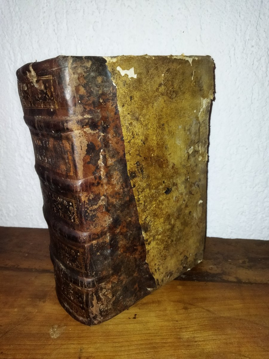 Collection Of Decrees Sovereign Courts Of France Old Book 17th Century Legislation Law 1607 -photo-2