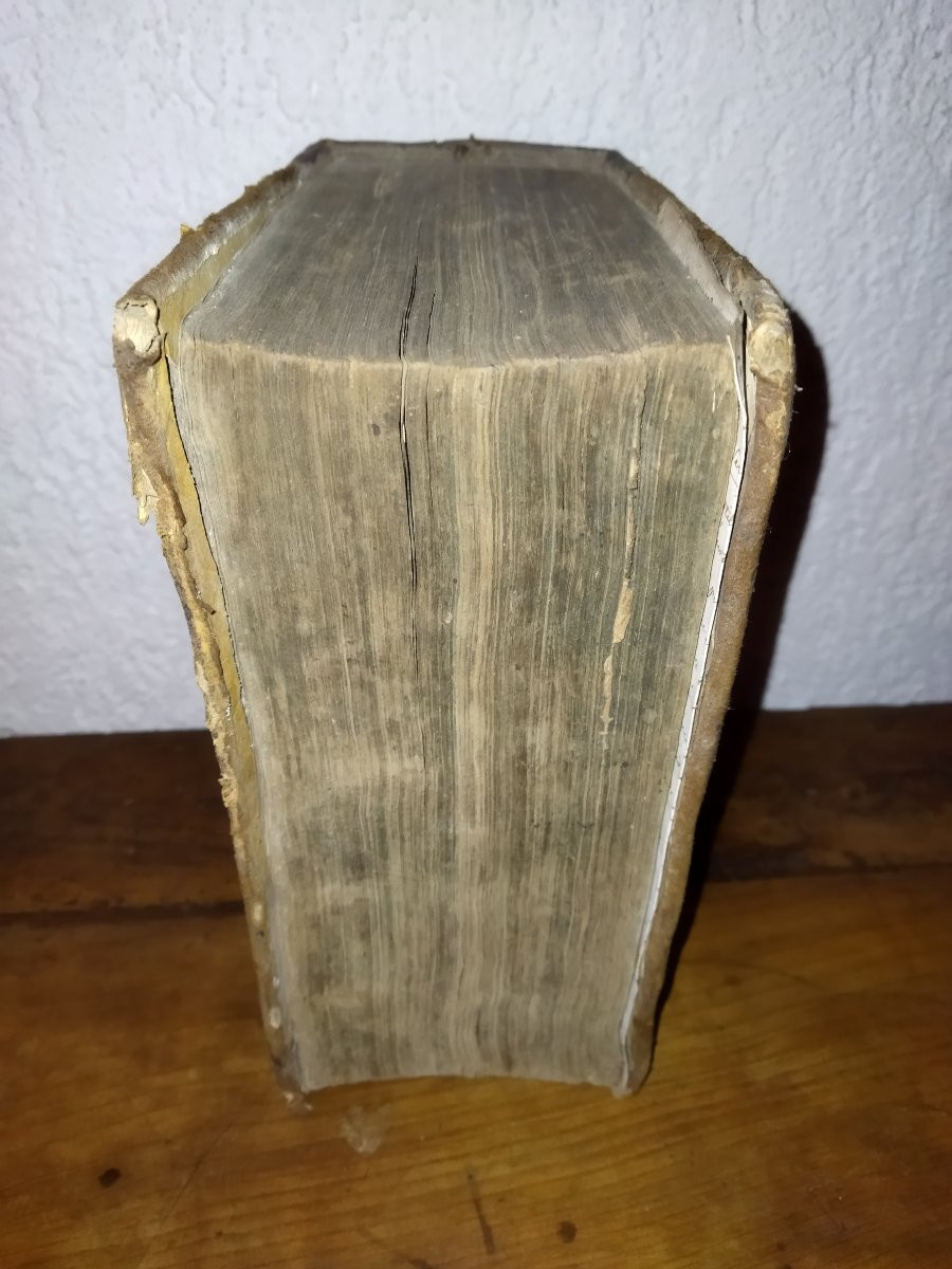 Collection Of Decrees Sovereign Courts Of France Old Book 17th Century Legislation Law 1607 -photo-3