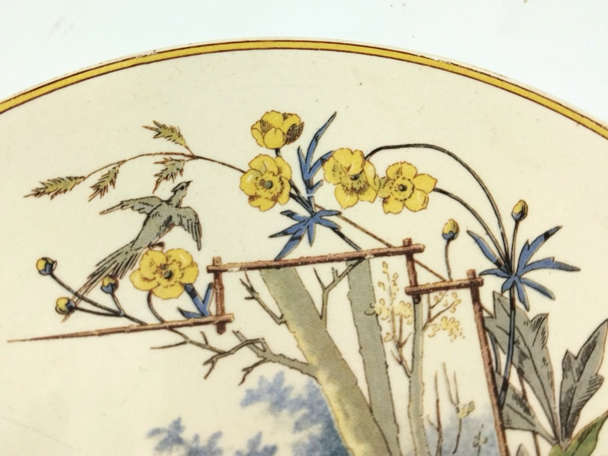 Sarreguemines Antique Earthenware Plate With Pheasant Decoration, 19th Century, Collection-photo-1