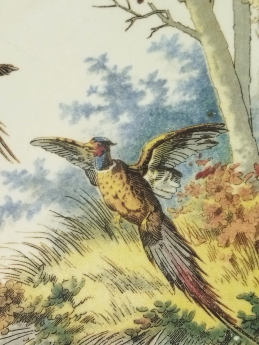 Sarreguemines Antique Earthenware Plate With Pheasant Decoration, 19th Century, Collection-photo-2