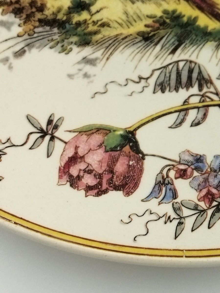 Sarreguemines Antique Earthenware Plate With Pheasant Decoration, 19th Century, Collection-photo-4