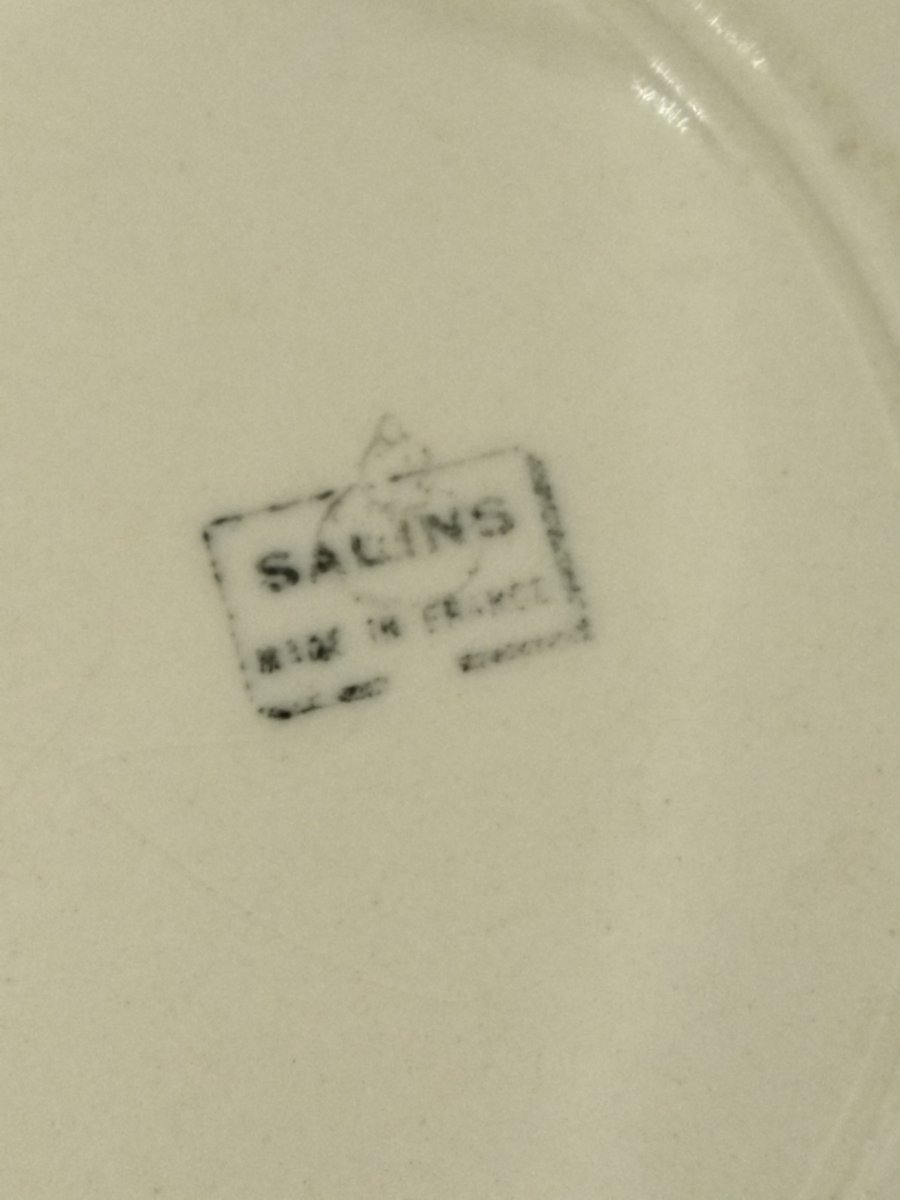SALINS 2 Assiettes Décor d'Enfants Musiciens Collection-photo-2