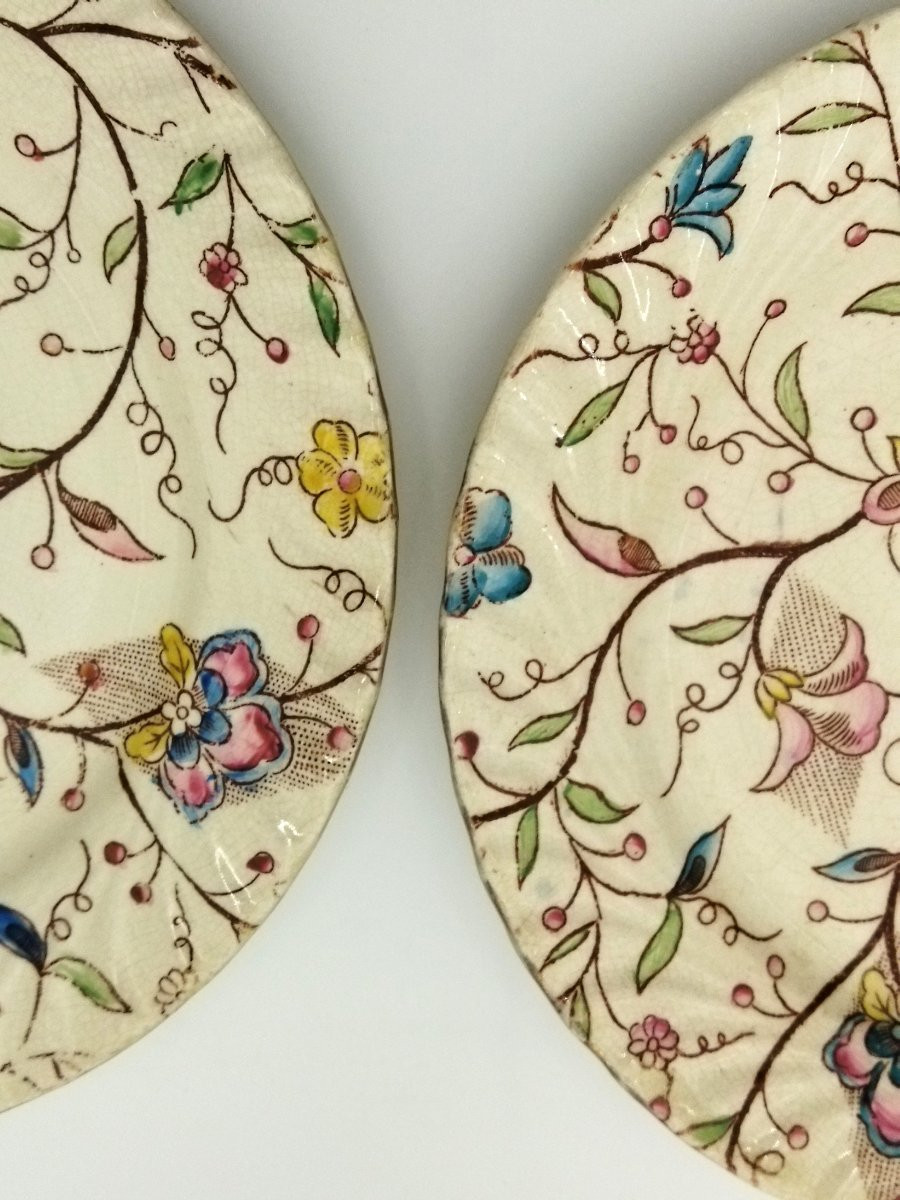 NIMY Manufacture Royale & Impériale 2 Assiettes Décor Floral multicolore Collection-photo-6