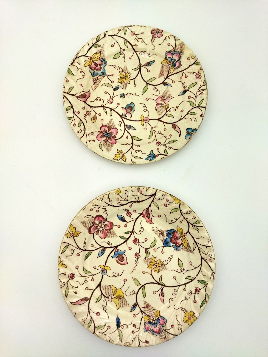 NIMY Manufacture Royale & Impériale 2 Assiettes Décor Floral multicolore Collection