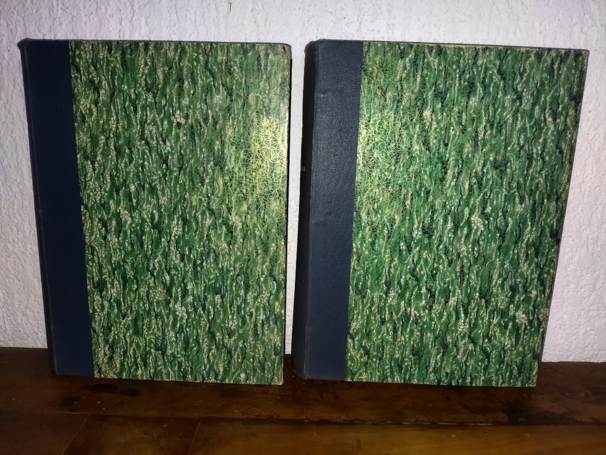 ROBIDA PARIS de Siècle en Siècle "COEUR DE PARIS" Texte Dessins Lithographies Collection-photo-2